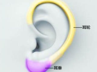 玻尿酸丰耳垂注射要点是什么，术后可以戴耳环吗？